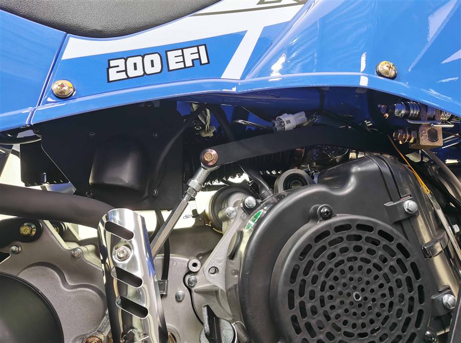 Commander 200cc EFI photo 2