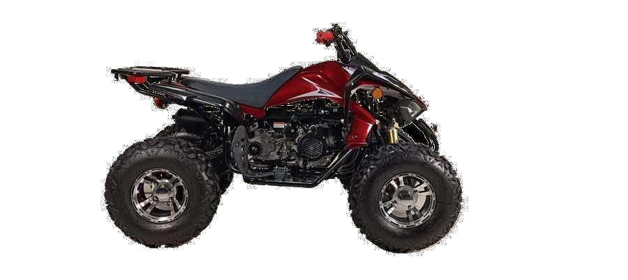 Cougar Sport 200cc photo 2