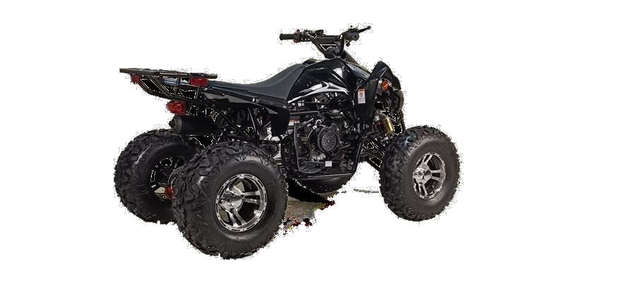 Cougar Sport 200cc photo 4