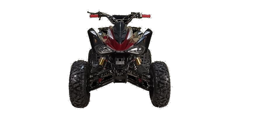 Cougar Sport 200cc photo 6