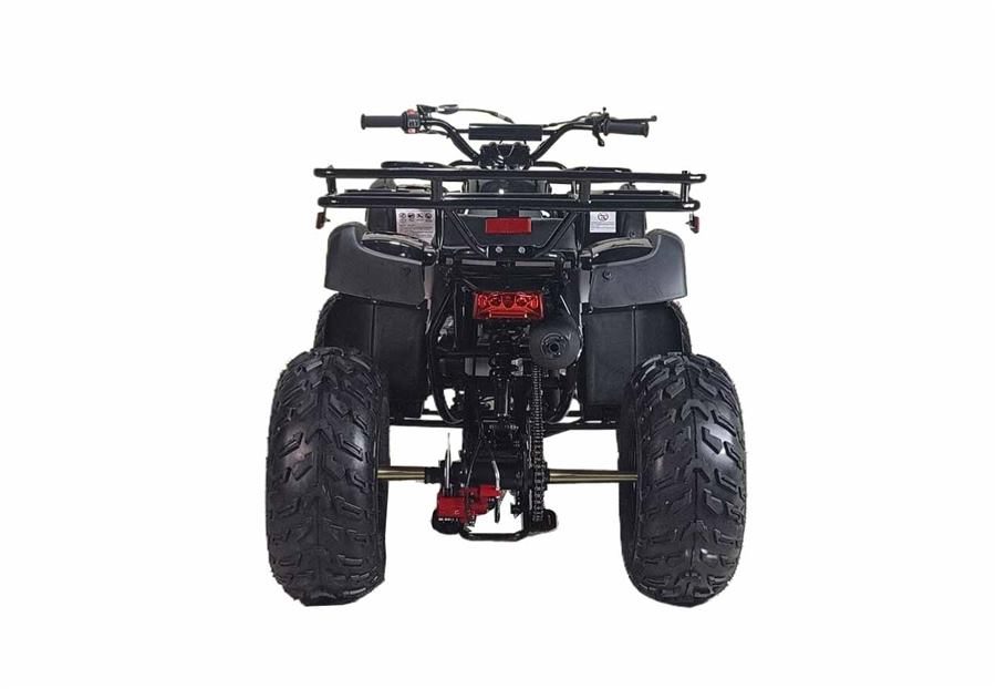 Cougar UT 200cc photo 4