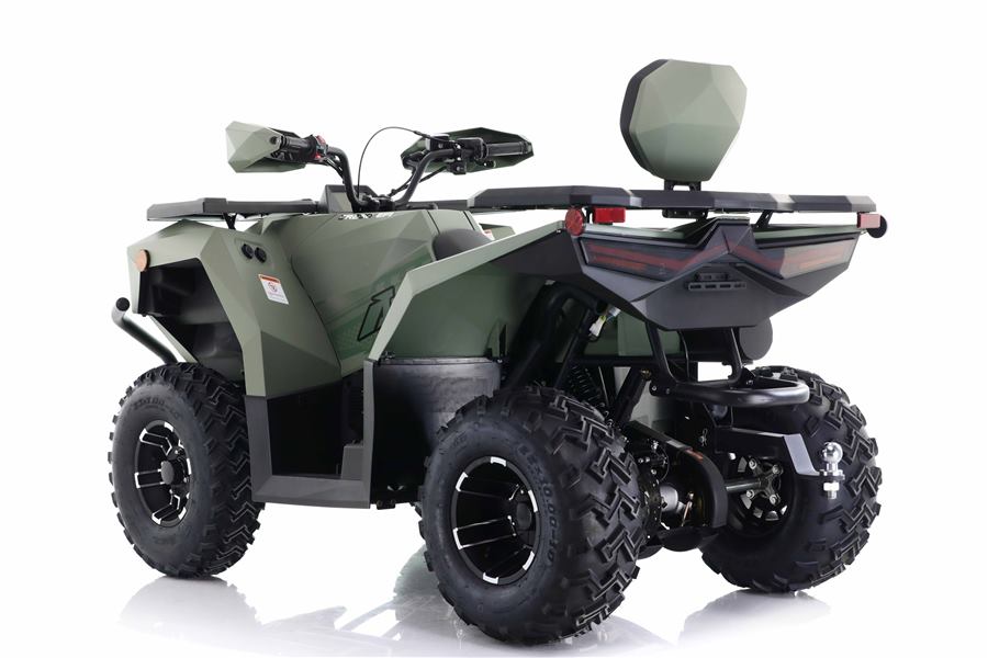 Cyber Roamer 250 EFI photo 2