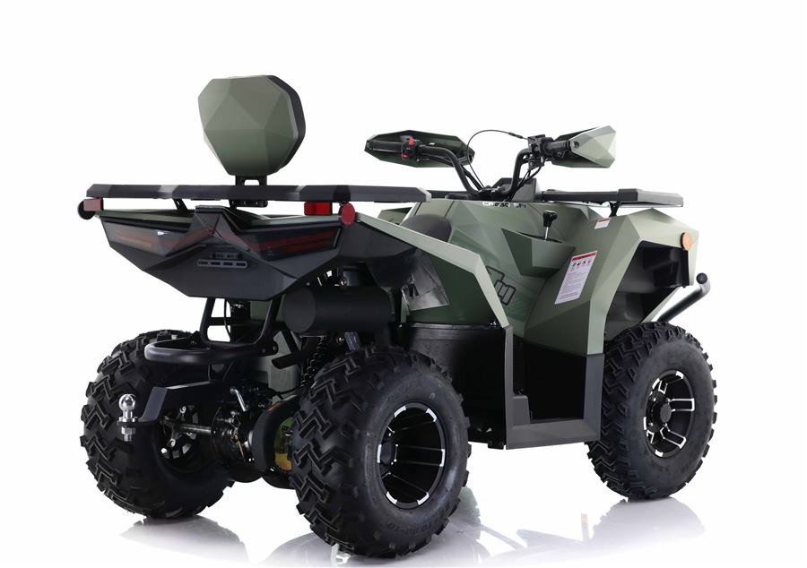Cyber Roamer 250 EFI photo 3