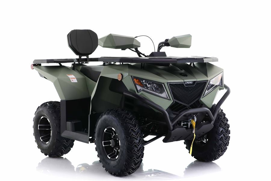 Cyber Roamer 250 EFI photo 4