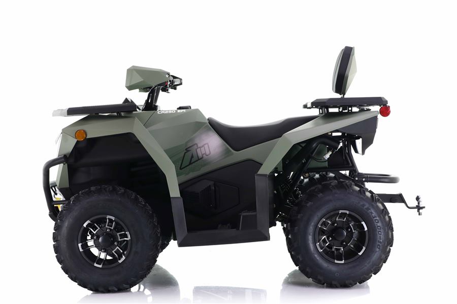 Cyber Roamer 250 EFI photo 5