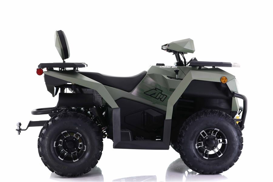 Cyber Roamer 250 EFI photo 6