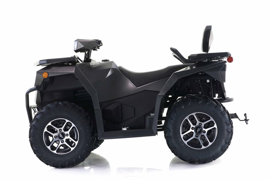 Cyber Roamer 300 EFI photo 2