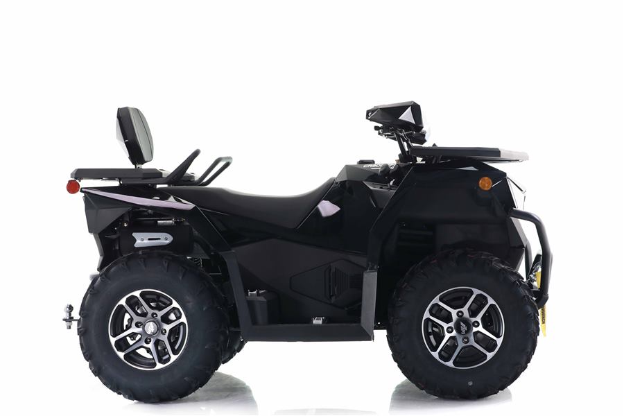 Cyber Roamer 300 EFI photo 3
