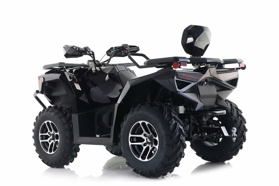 Cyber Roamer 300 EFI photo 4