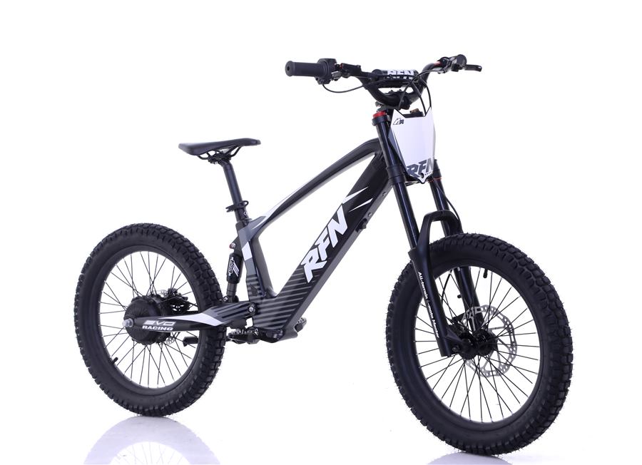 EVO 20 electric bike