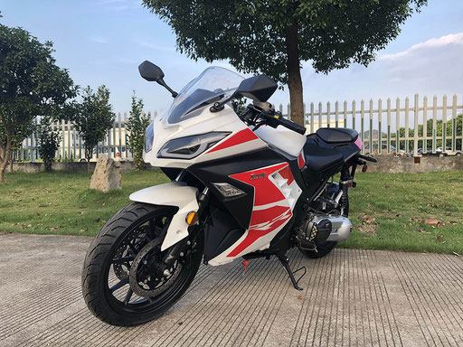 Falcon 250cc photo 4