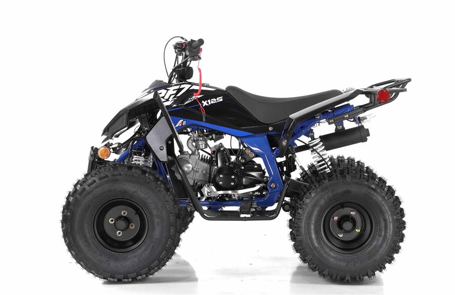 Falcon X 125cc photo 2