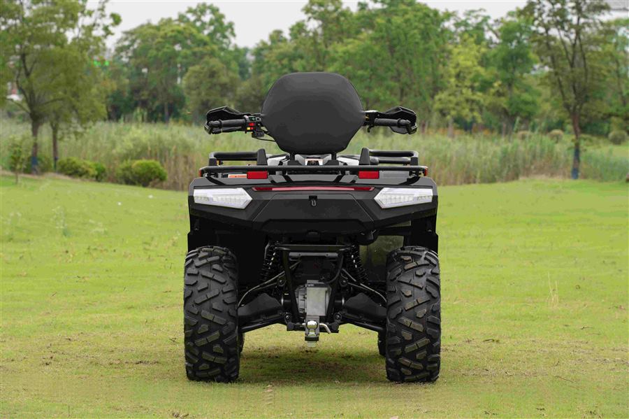 Maximus 450L photo 5