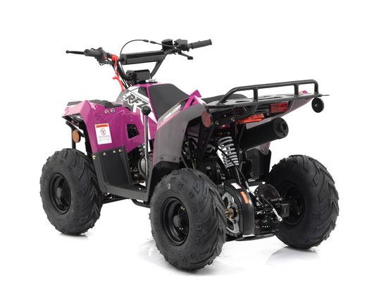 Mini Commander 110cc photo 3