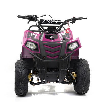 Mini Commander 110cc photo 6