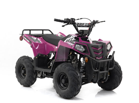 Mini Commander 110cc ATV