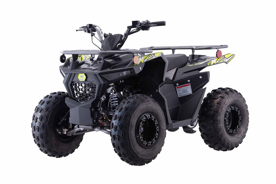Pentora Iride 125cc photo 3