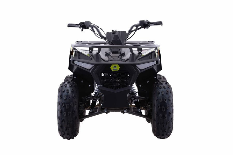 Pentora Iride 125cc photo 5