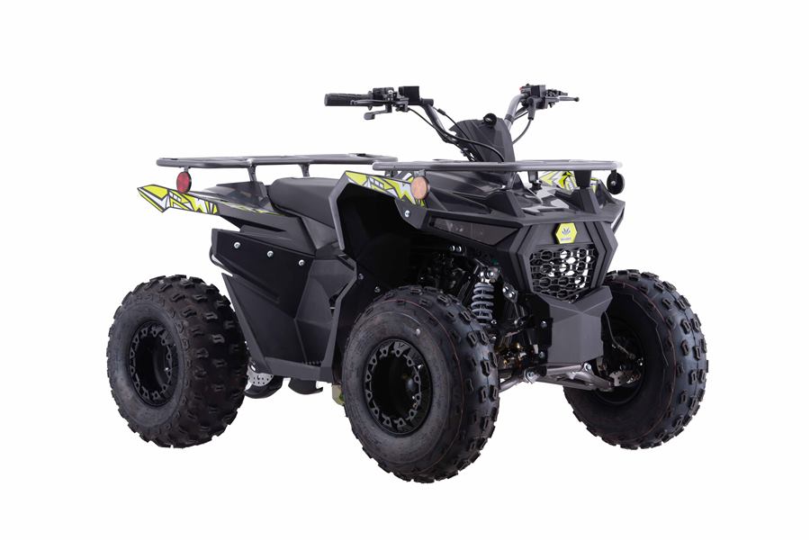 Pentora Iride 125cc photo 6