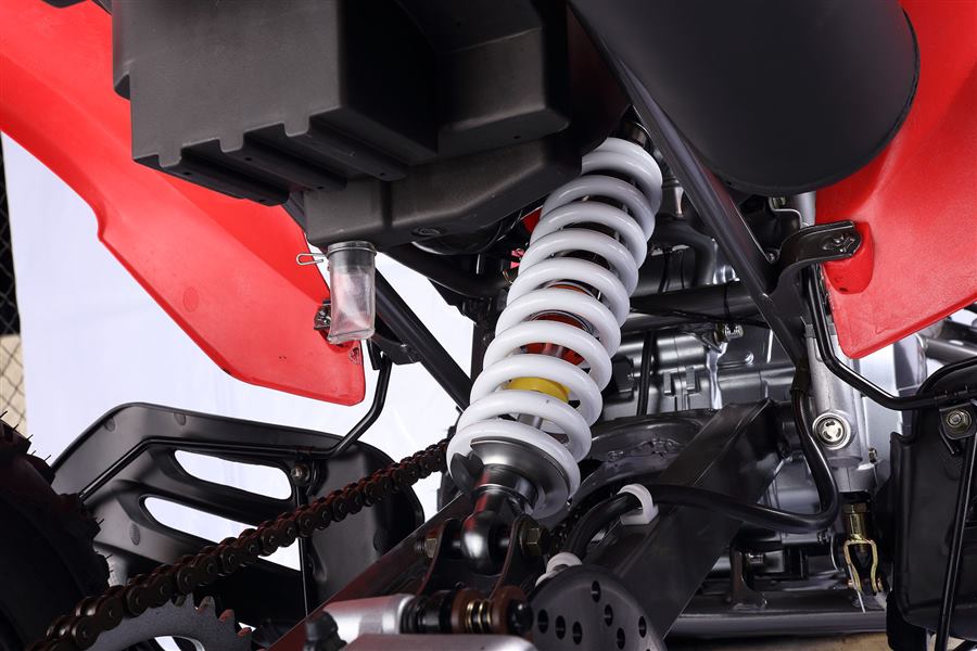 Pentora Sport 250cc photo 3