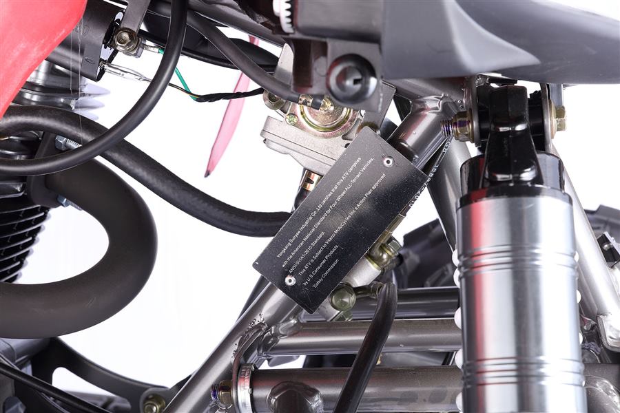 Pentora Sport 250cc photo 6