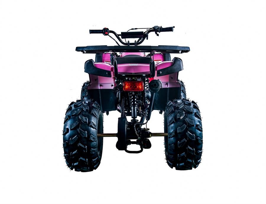 Rider 10 - 125cc photo 6