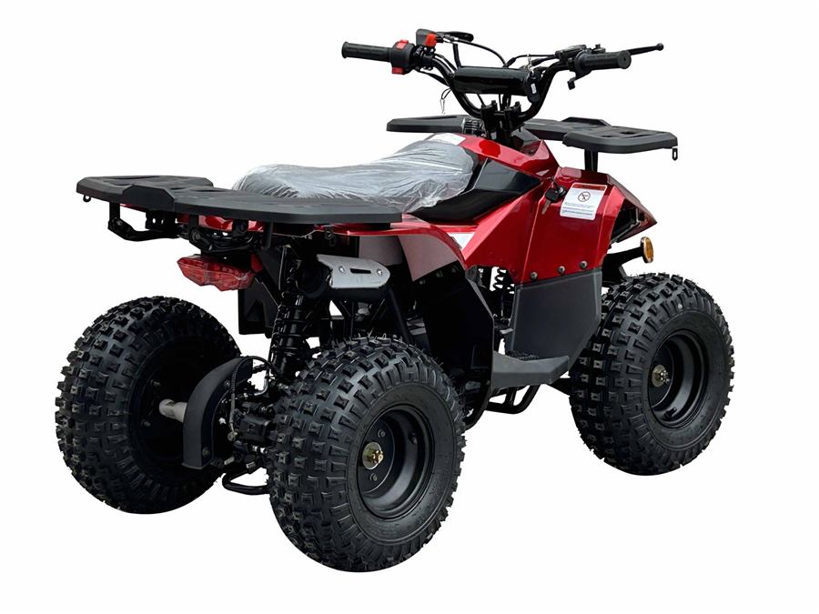 RXR 110cc photo 2