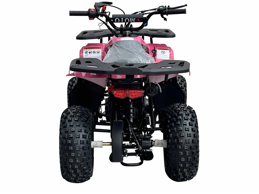 RXR 110cc photo 4