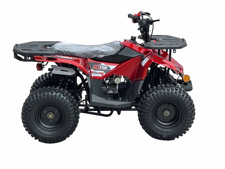 RXR 110cc photo 5
