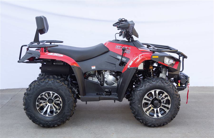 Terminator 300cc photo 2