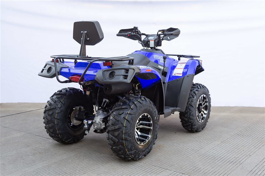 Terminator 300cc photo 3