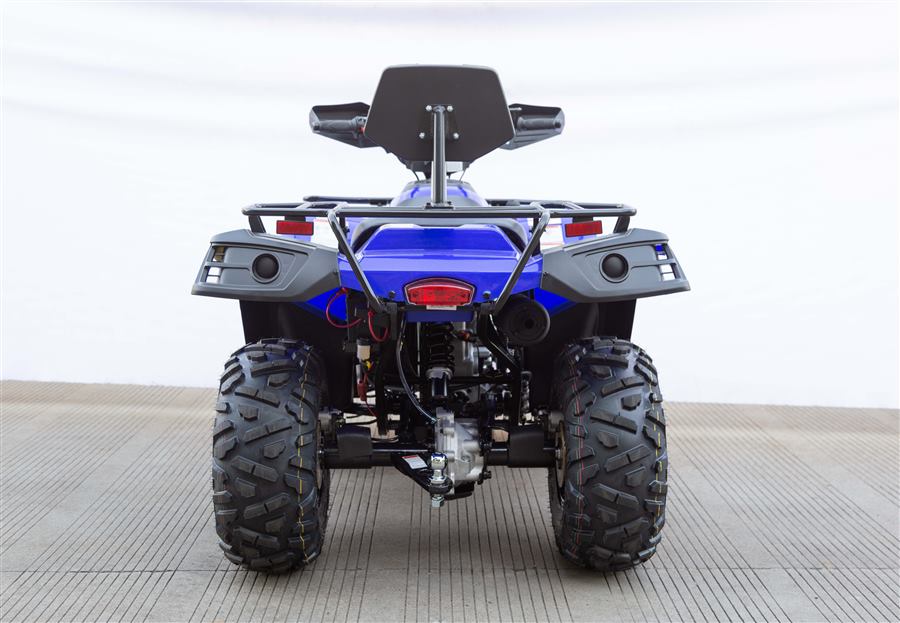 Terminator 300cc photo 4