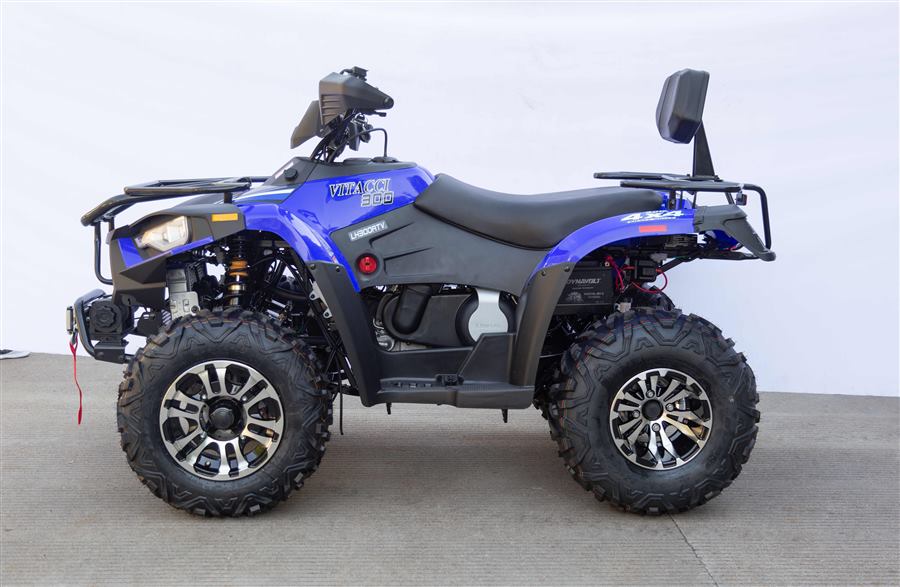 Terminator 300cc photo 6