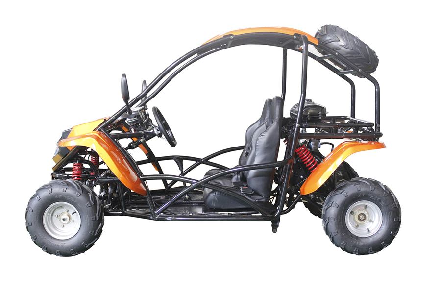 T-Rex 125cc photo 3