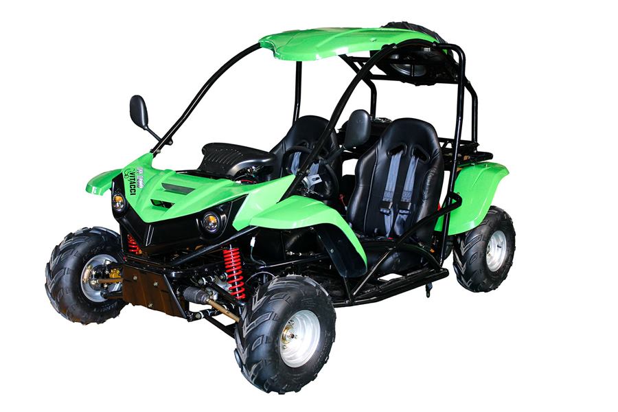 T-Rex 125cc photo 6